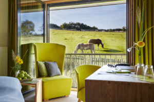Zimmer Comfort 3