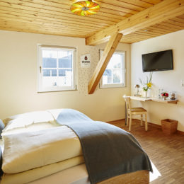 Zimmer Standard