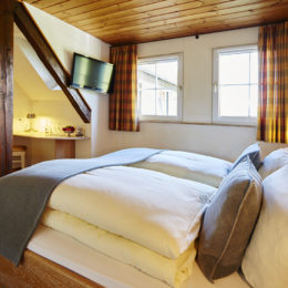 Zimmer Standard 2