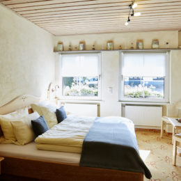 Zimmer Standard 3