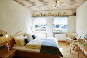 Zimmer Standard 3