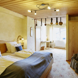 Zimmer Standard 4