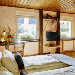 Zimmer Standard 5