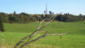 Natur