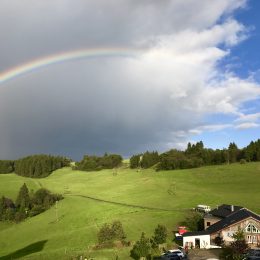 Regenbogen über Wildewiese ??