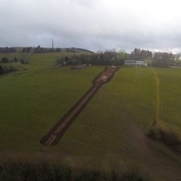 Zauberteppich in Wildewiese