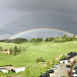 Wildewiese Regenbogen