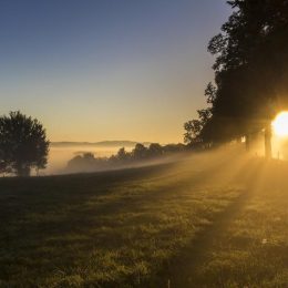 Geführte MorgenWanderrunde