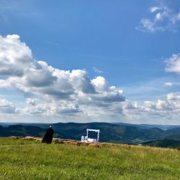 Erneuerung des Eheverprechens im Grünem – Silberhochzeit