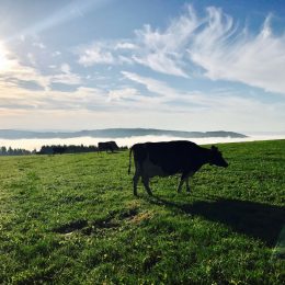 Sauerland macht glücklich