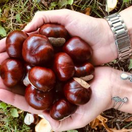 Herbst Schönheiten ??