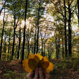 Herbstzeit genießen