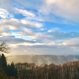 Sauerländer Wälder