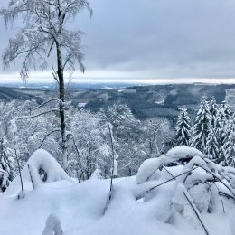 Tief verschneite WinterLandschaft