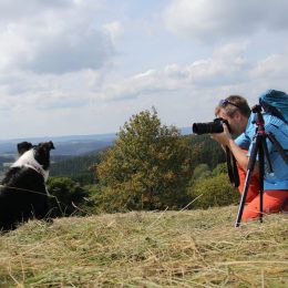 Fotoshooting ? auf der Wildewiese