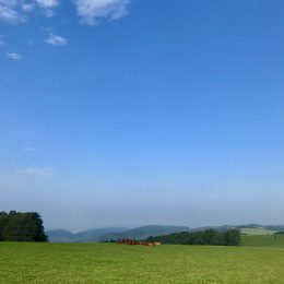 Guten Morgen SAUERLAND