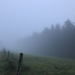 Nebel-Wanderung