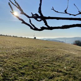 Heute Morgen auf dem Schomberg ☀👍🏻