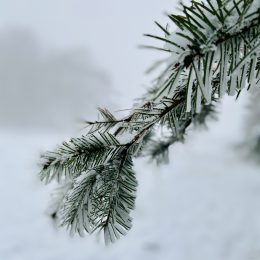 Winter-Wanderung-Wildewiese 🤗❄⛄🌨