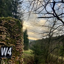 Wanderwege in Wildewiese