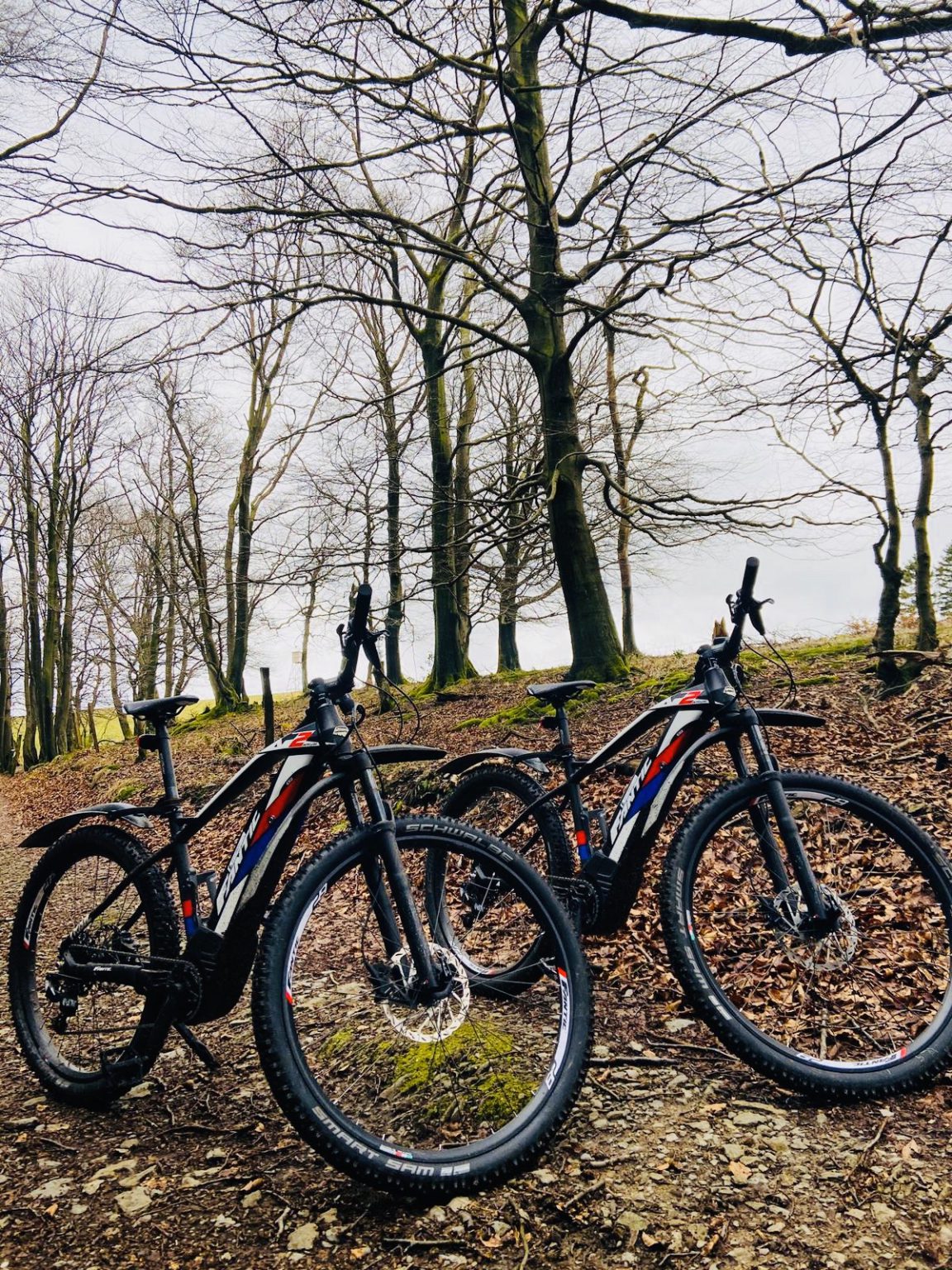 Singletrail sundern