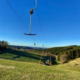 Der Schnee ist weg ~ Jetzt kann der Frühling kommen 🌳🌤🌸