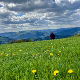 Die Natur startet durch