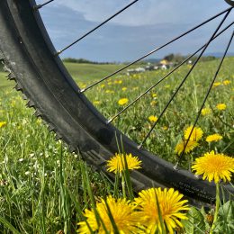 auf den Höhen des Sauerlandes