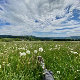 Wildewiese Auszeit