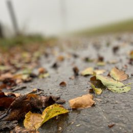 Herbst Spaziergang