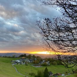 Herbstlicht hinter Wildewiese