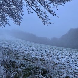 Raureif Wanderung in Wildewiese ❄️👌🏻