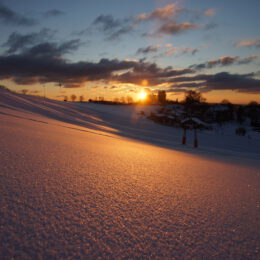 sunset Wildewiese