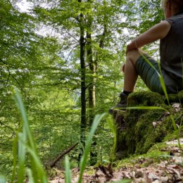 Wald Auszeit