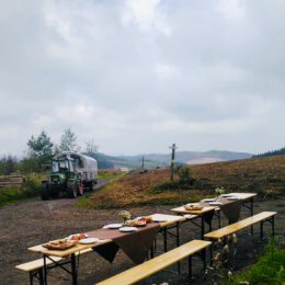 Wald Vesper an der Waldeshöhe