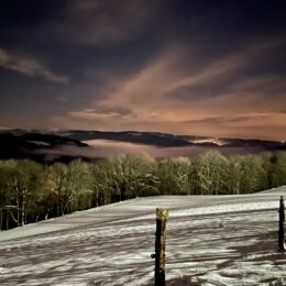 Abendrunde Wildewiese im Flutlicht