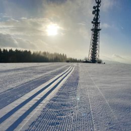 Es bleibt winterlich in Wildewiese